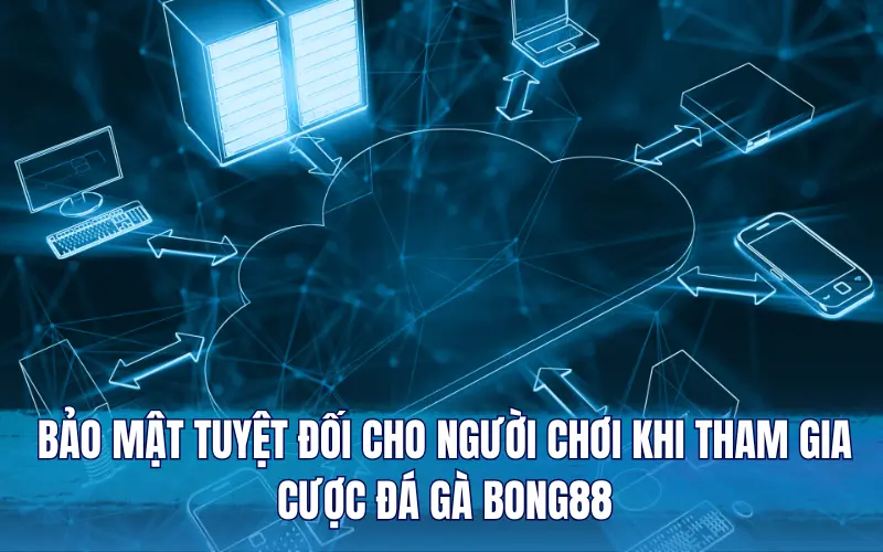 Bảo mật tuyệt đối cho người chơi khi tham gia cược đá gà Bong88