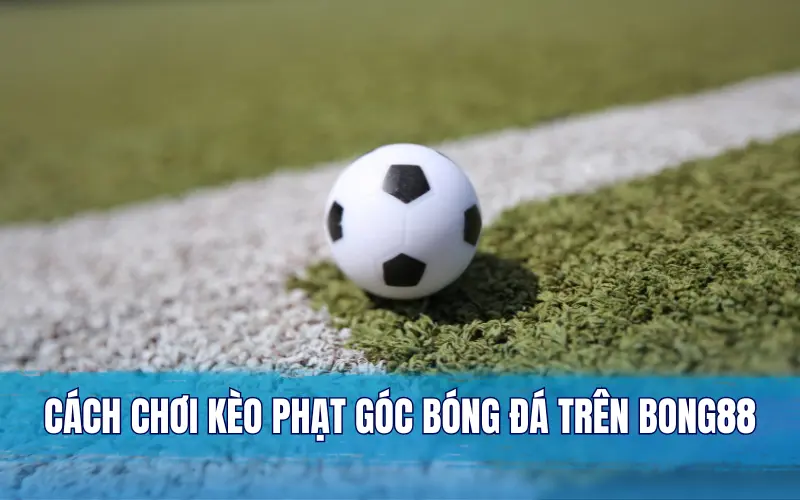 Cách chơi kèo phạt góc bóng đá trên Bong88 đối với từng loại kèo