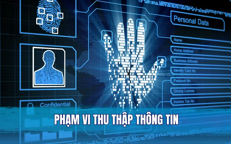 Phạm vi thu thập thông tin