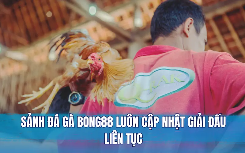 Sảnh đá gà Bong88 luôn cập nhật giải đấu liên tục