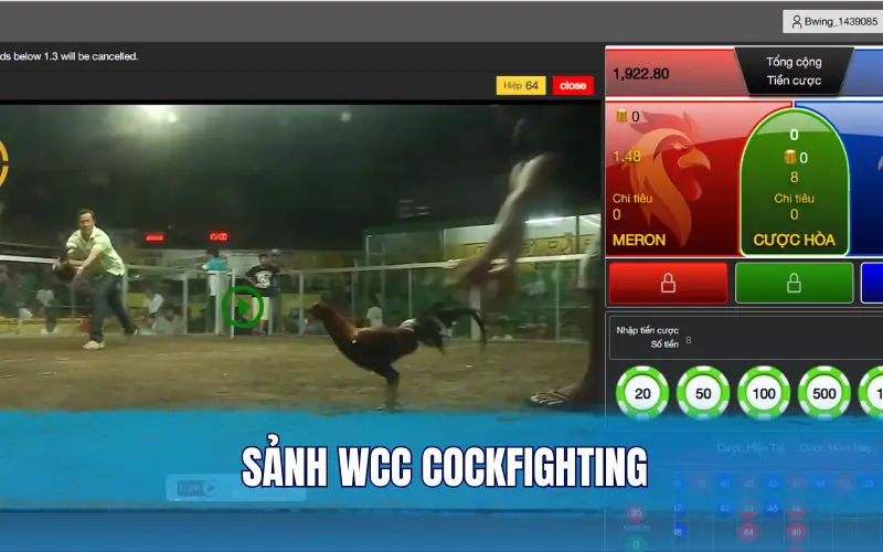 Sảnh WCC Cockfighting nổi bật với sự chuyên nghiệp tại đá gà Bong88